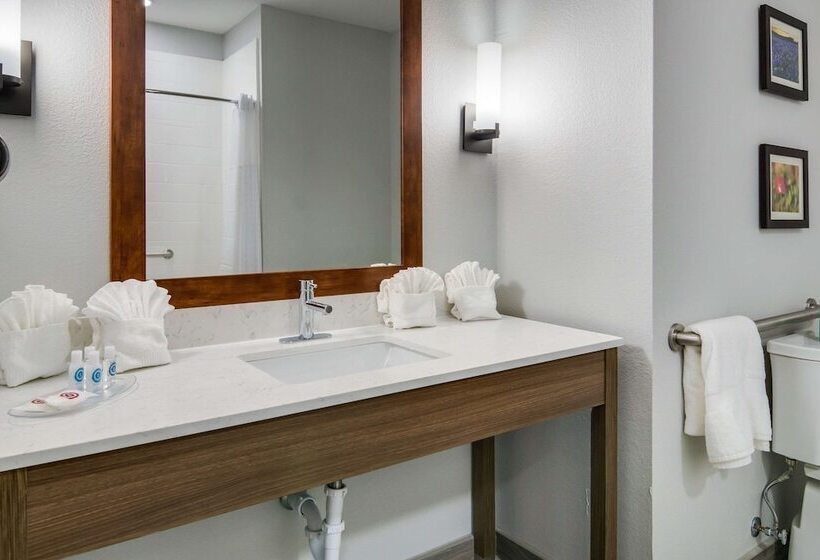 Люкс Адаптированный для Инвалидов, Comfort Suites Desoto Dallas South