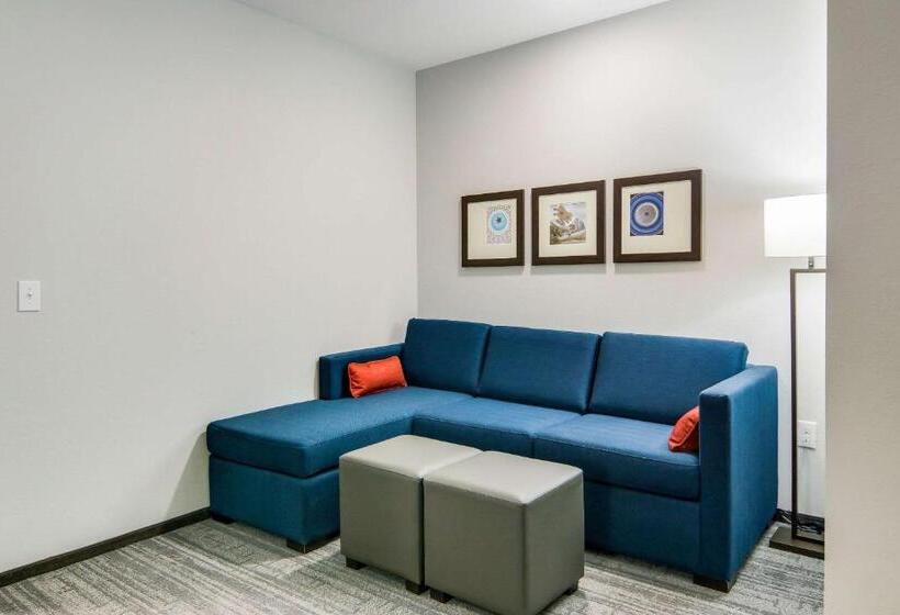 Люкс Кровать Кинг, Comfort Suites Desoto Dallas South