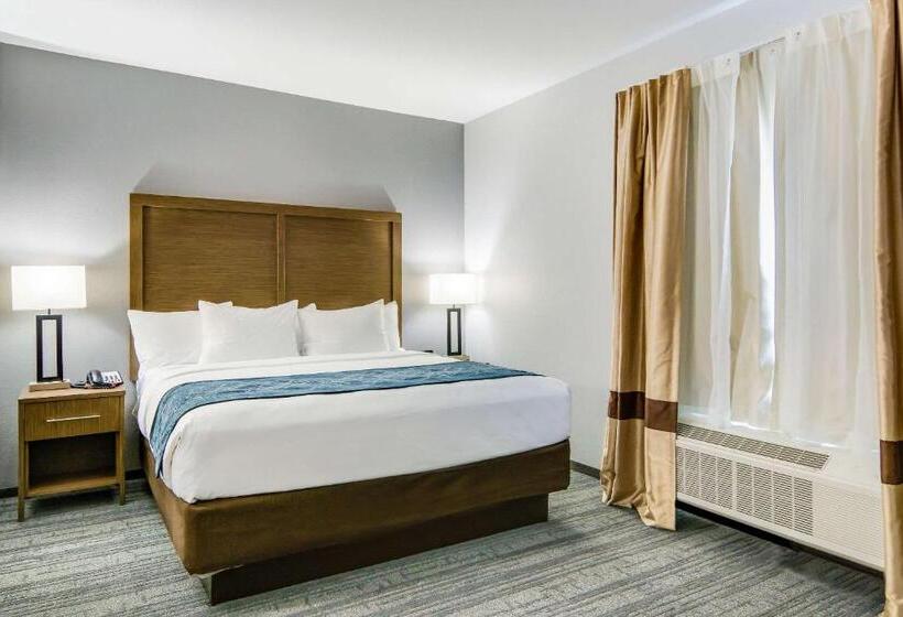 Люкс Кровать Кинг, Comfort Suites Desoto Dallas South