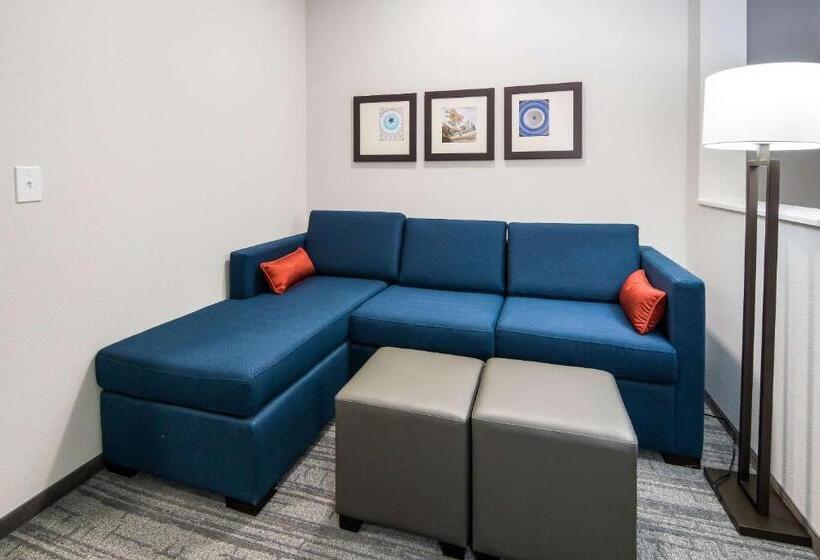Люкс Кровать Кинг, Comfort Suites Desoto Dallas South