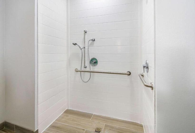 Люкс Адаптированный для Инвалидов, Comfort Suites Desoto Dallas South