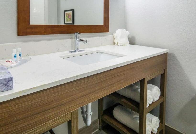 Люкс, Comfort Suites Desoto Dallas South
