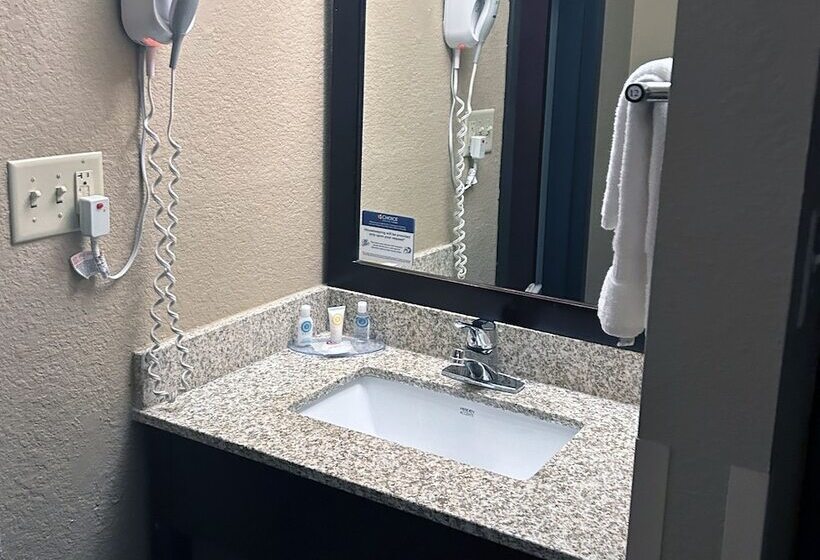 Standard Værelse 2 Dobbeltsenge, Comfort Inn & Suites Evansville Airport