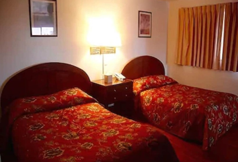 סוויטה דלוקס, Econo Inn Anchorage