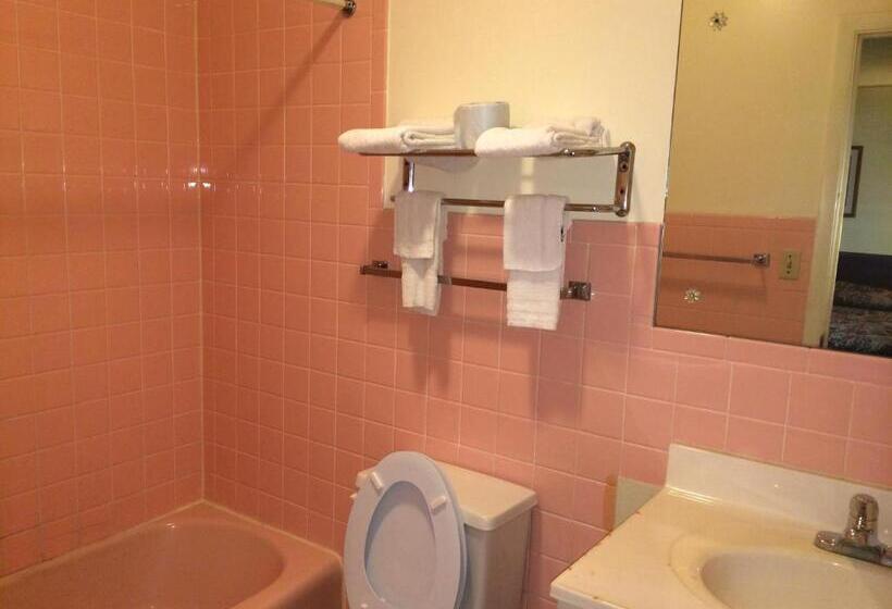 스탠다드 싱글 룸, Rapids Inn & Suites
