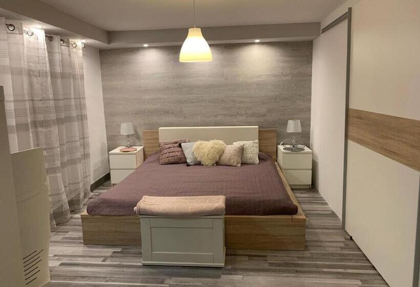 침실 1개 디럭스 아파트, Airport16 Bed And Breakfast