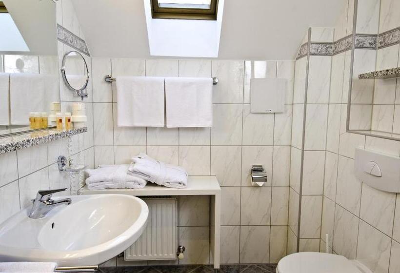 Номер Комфорт, Garni Astoria