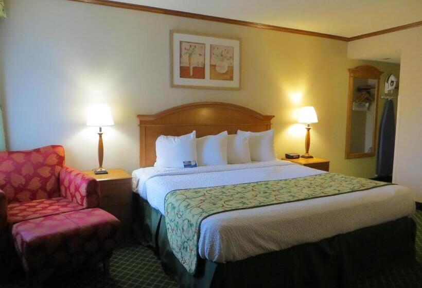 Люкс Deluxe Кровать Кинг, Baymont By Wyndham Kalamazoo East