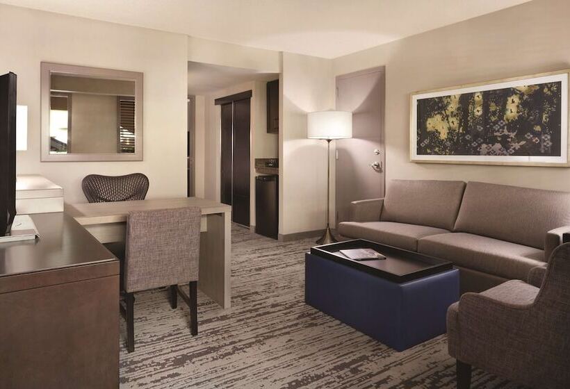 Люкс, Embassy Suites By Hilton Atlanta At Centennial Olympic Park