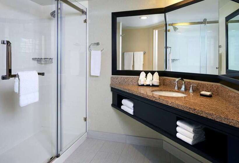Стандартный Номер Кровать Кинг, Embassy Suites By Hilton Atlanta At Centennial Olympic Park