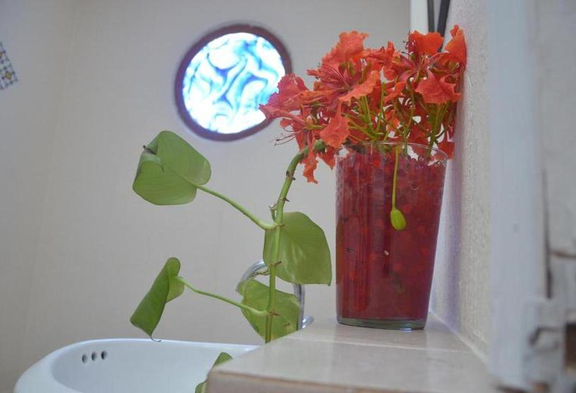Deluxe-studio, Casa Bugambilias Cancun   Hostel