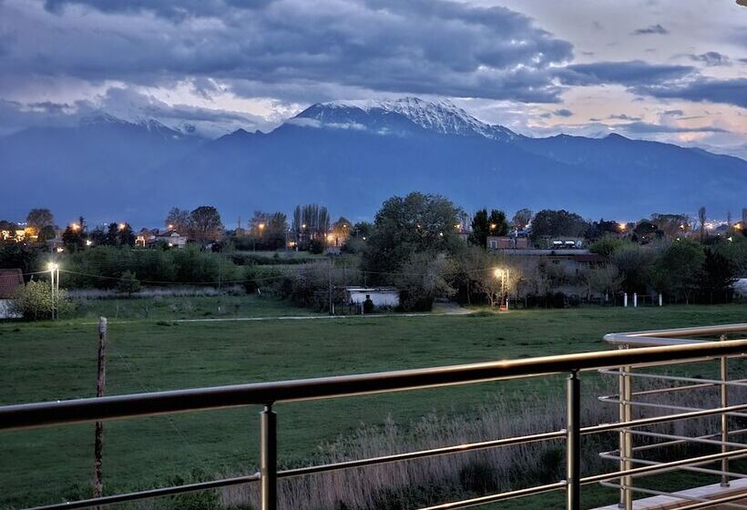 اتاق لوکس سه تخته, Peloton Inn