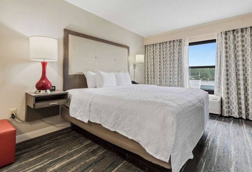 套房, Hampton Inn & Suites Memphis Wolfchase Galleria