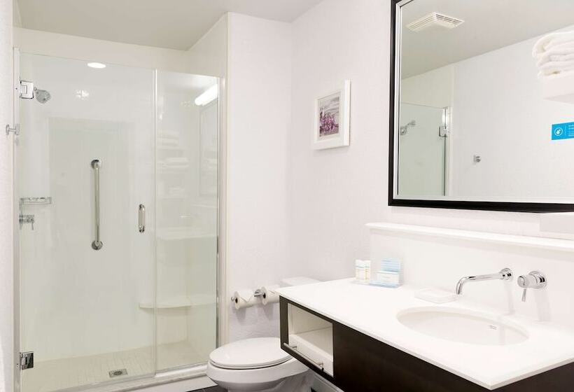 Люкс, Hampton Inn Midland