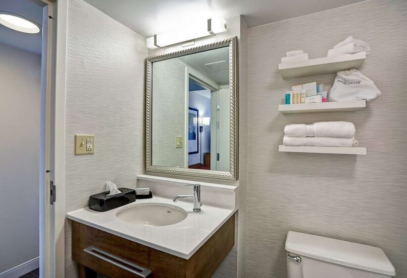 Номер Стандарт 2 Двуспальные Кровати, Hampton Inn Norfolk Naval Base