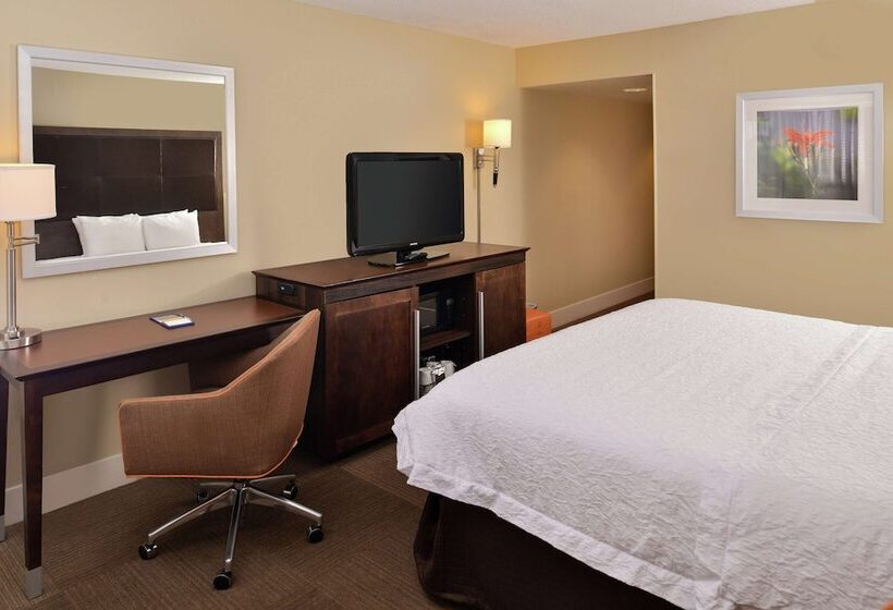 스탠다드 룸 더블 침대, Hampton Inn South Hill