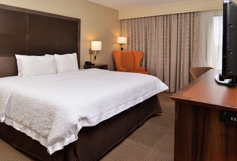 스탠다드 룸 더블 침대, Hampton Inn South Hill