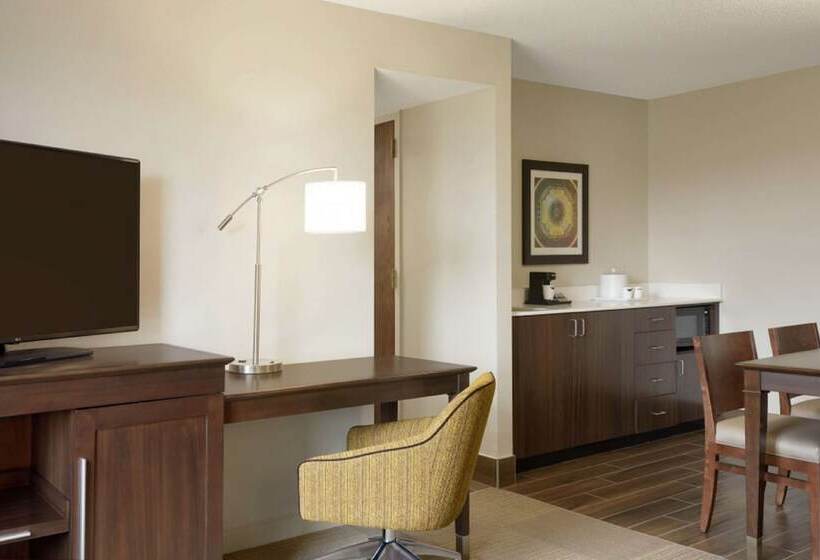 스위트, Hampton Inn & Suites Springdale