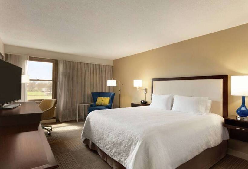 장애인을 위한 스탠다드 룸, Hampton Inn & Suites Springdale