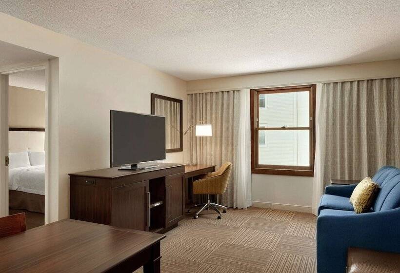장애인을 위한 스탠다드 룸, Hampton Inn & Suites Springdale