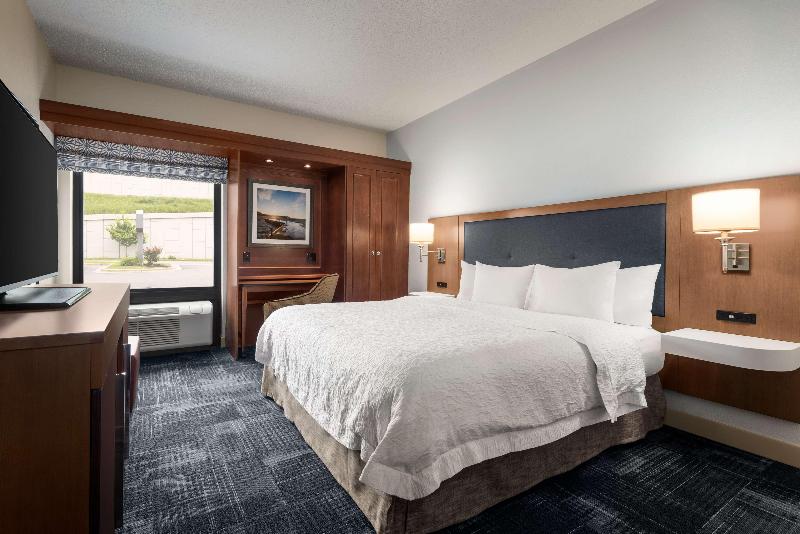 스탠다드 룸 킹사이즈 침대, Hampton Inn By Hilton Wausau
