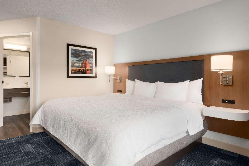 스탠다드 룸 킹사이즈 침대, Hampton Inn By Hilton Wausau