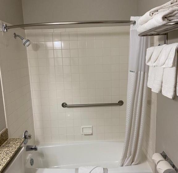 스탠다드 룸 킹사이즈 침대, Days Inn & Suites By Wyndham Des Moines Airport