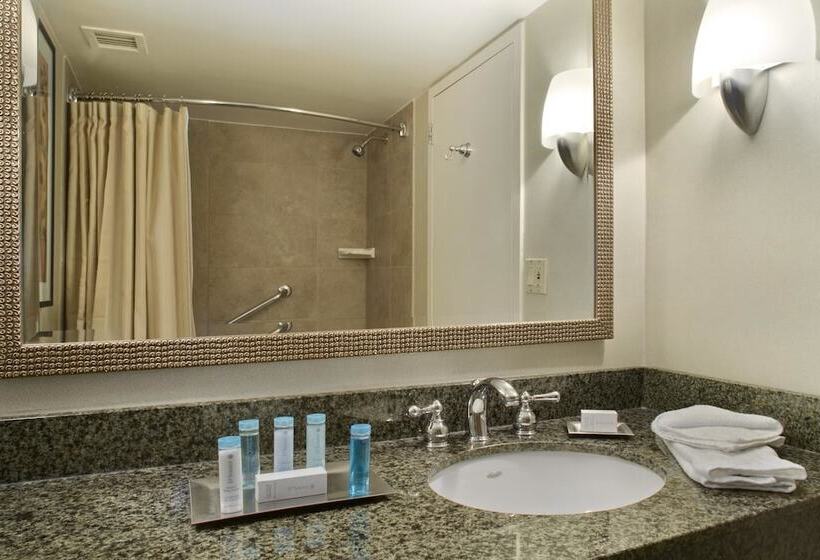 Номер Стандарт, Hilton Arlington National Landing