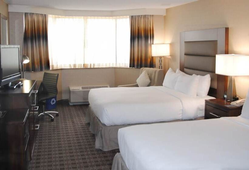 Номер Стандарт, Hilton Arlington National Landing