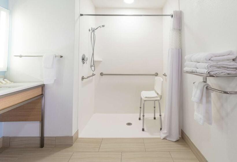 장애인을 위한 스탠다드 룸, Hilton Garden Inn St. Augustine Beach