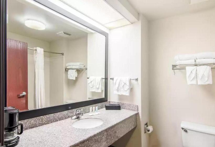 Номер Стандарт 2 Двуспальные Кровати, Quality Inn Near University Of Mobile
