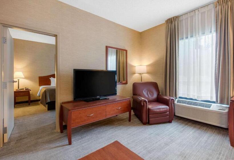 수피리어 스위트, Quality Inn & Suites Benton  Draffenville
