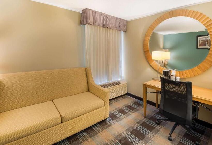 스탠다드 룸 킹사이즈 침대, Surestay Plus Hotel By Best Western Jasper