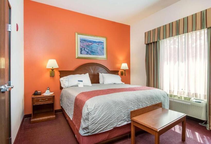 스탠다드 룸 킹사이즈 침대, Motel 6 Brenham, Tx
