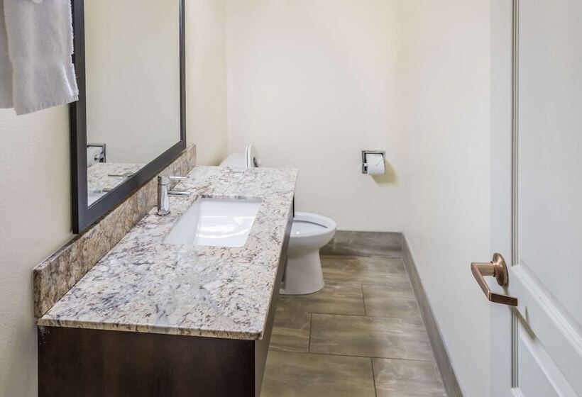 스탠다드 룸, Clarion Inn Page  Lake Powell