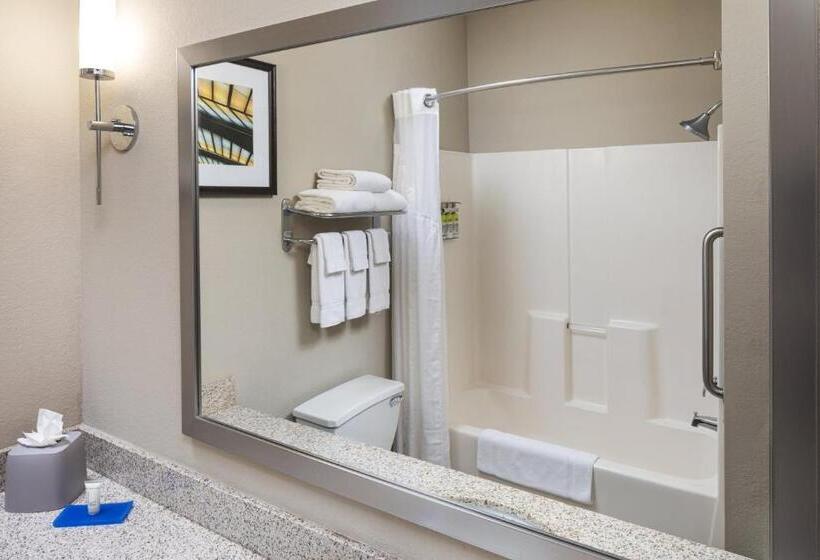 Люкс Кровать Кинг, Holiday Inn Express Hotel & Suites Minneapolis   Minnetonka, An Ihg