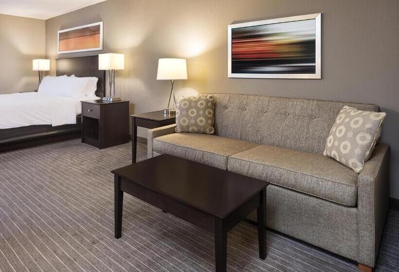 Люкс Кровать Кинг, Holiday Inn Express Hotel & Suites Minneapolis   Minnetonka, An Ihg