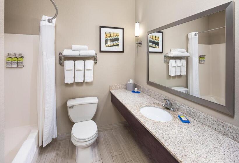 Номер Стандарт Кровать Кинг Адаптированный для Инвалидов, Holiday Inn Express Hotel & Suites Minneapolis   Minnetonka, An Ihg