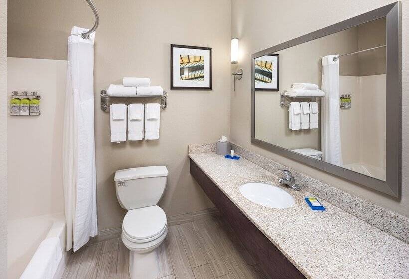 Люкс, Holiday Inn Express Hotel & Suites Minneapolis   Minnetonka, An Ihg