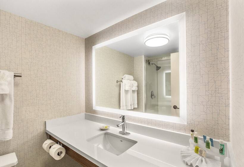 Люкс, Holiday Inn Express & Suites Tacoma, An Ihg
