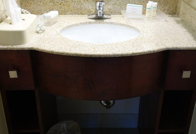 套房, Homewood Suites By Hilton Durhamchapel Hill / I40