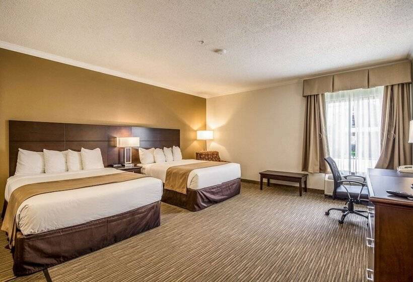 套房, Quality Inn & Suites Seabrook  Nasa  Kemah