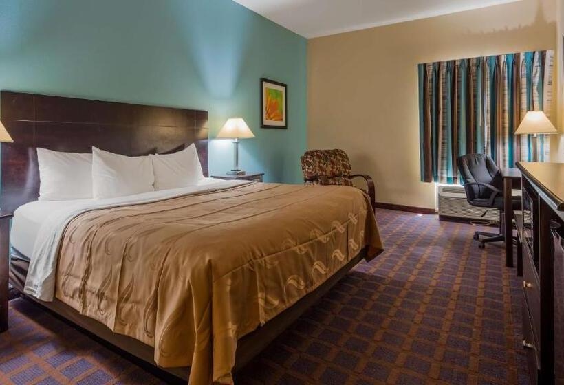 Номер Стандарт Кровать Кинг Адаптированный для Инвалидов, Surestay Plus Hotel By Best Western Blue Springs