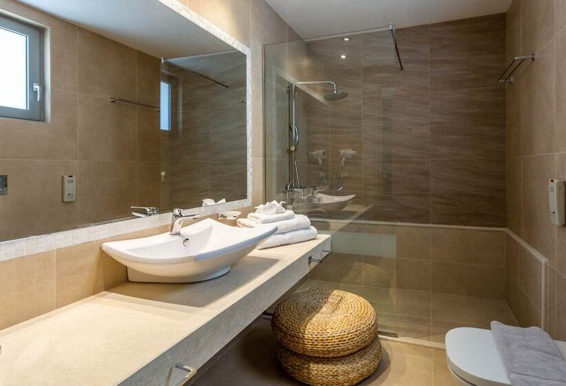 Полулюкс с Бассейном, Elysian Luxury Hotel And Spa