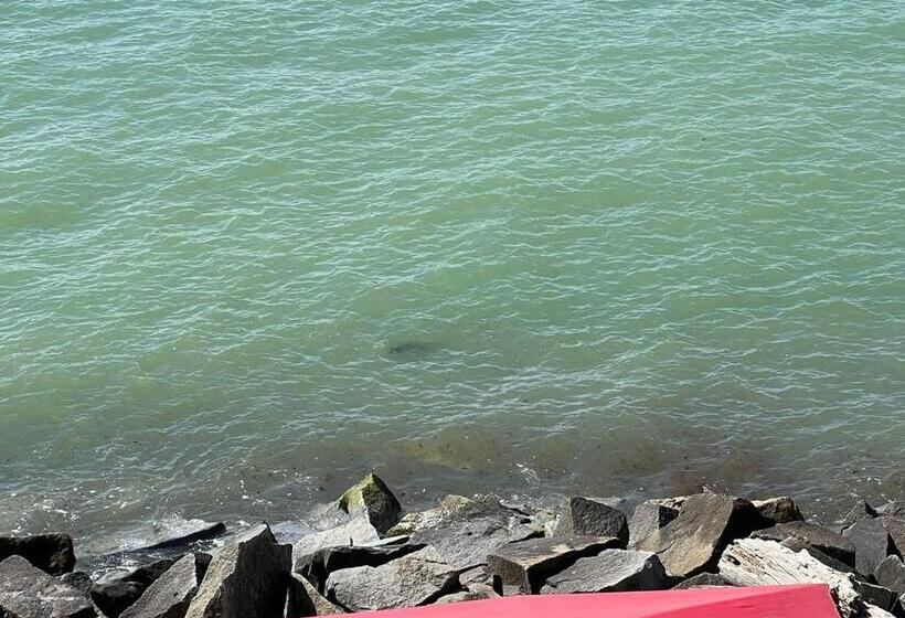 Номер Стандарт Вид на Море, Fährblick   Pension Direkt Am Wasser