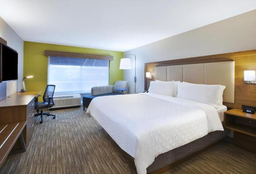 스탠다드 룸 킹사이즈 침대, Holiday Inn Express & Suites Grand Rapids Airport North, An Ihg