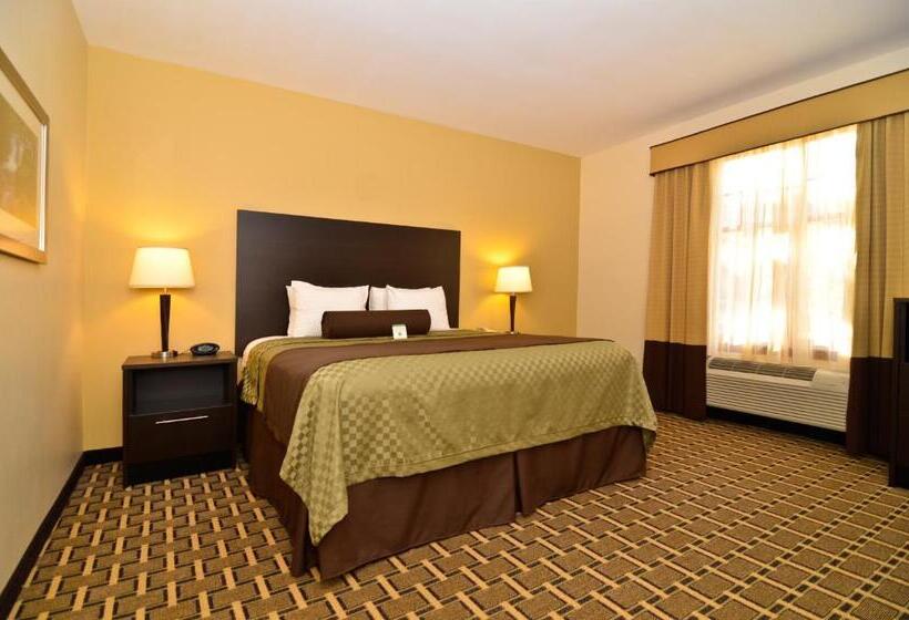 Номер Стандарт Кровать Кинг Адаптированный для Инвалидов, Best Western Plus The Inn & Suites At The Falls
