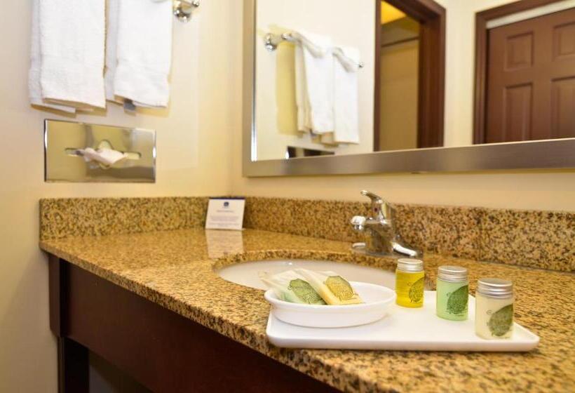 Стандартный Номер Кровать Кинг, Best Western Plus The Inn & Suites At The Falls
