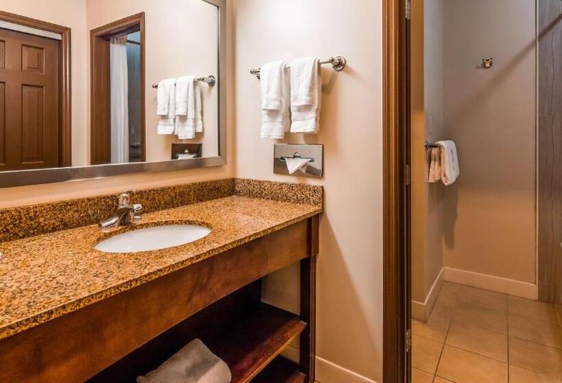 Номер Стандартный с Видом, Best Western Plus The Inn & Suites At The Falls