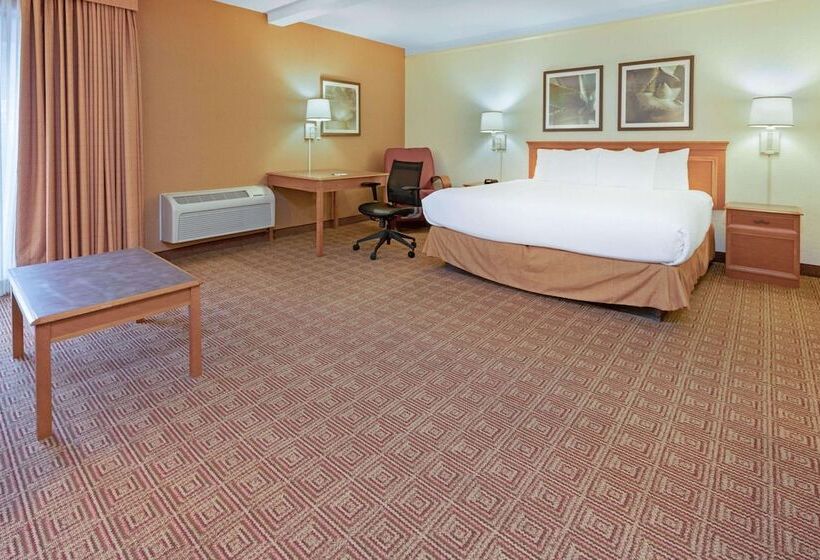 Люкс Повышенной Комфортности, La Quinta By Wyndham Salt Lake City   Layton
